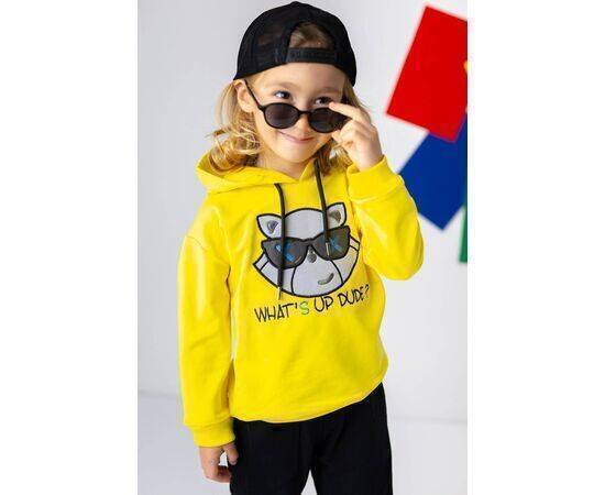 Cat Embroidered Hoodie for Boys